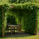 Pergolato verde: le varietà rampicanti che offrono privacy senza invadere il giardino