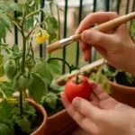 Come favorire l’impollinazione degli ortaggi sul balcone? Strategie semplici che aumentano la produzione