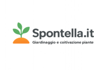 Spontella.it